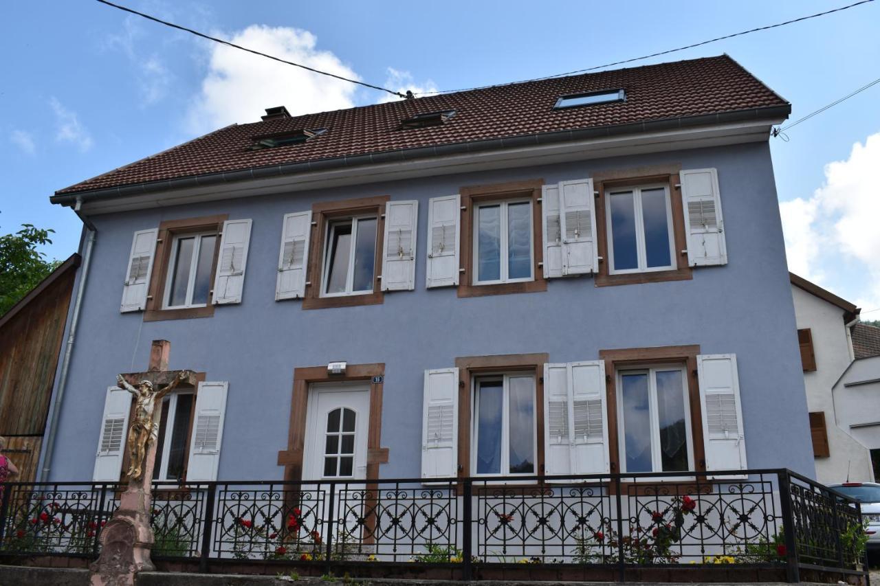 Bleu Seize Apartment Natzwiller Bagian luar foto