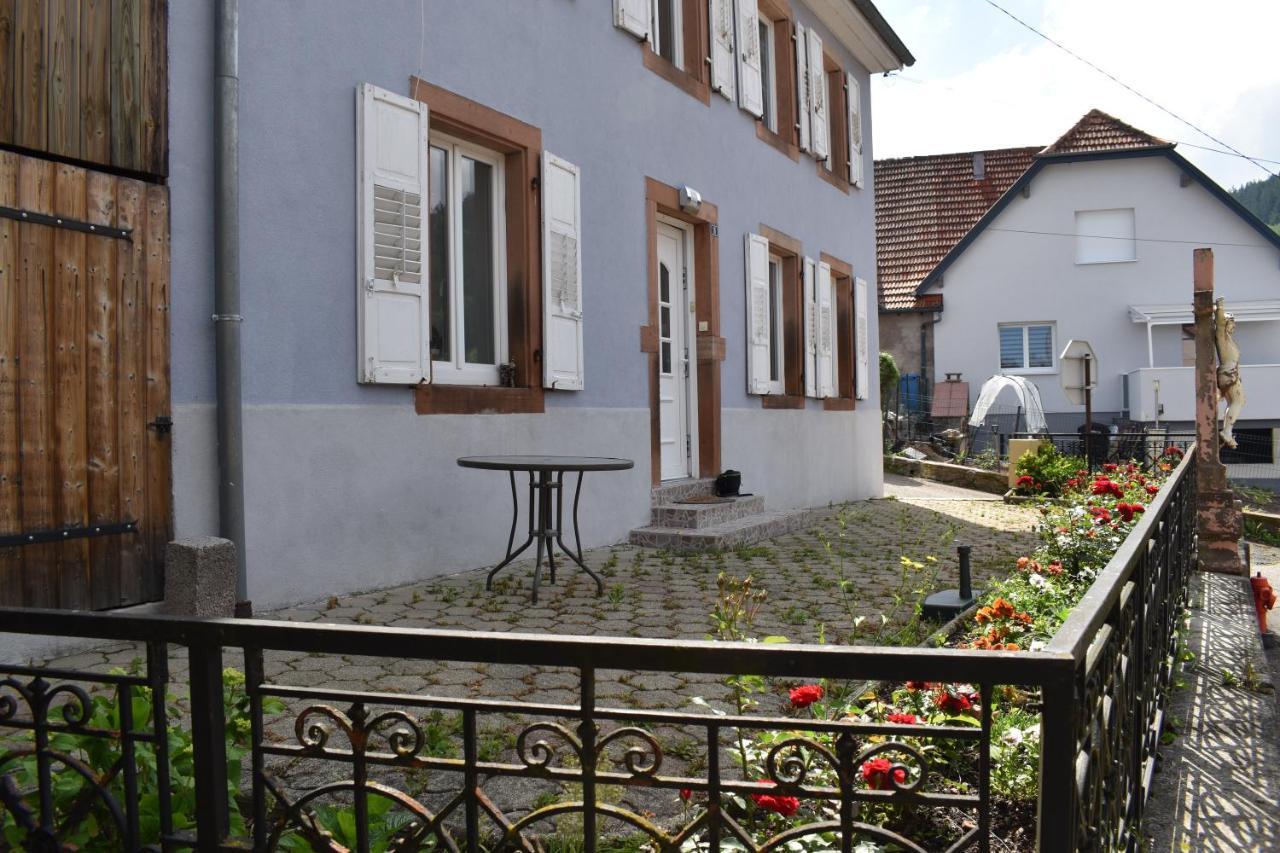 Bleu Seize Apartment Natzwiller Bagian luar foto